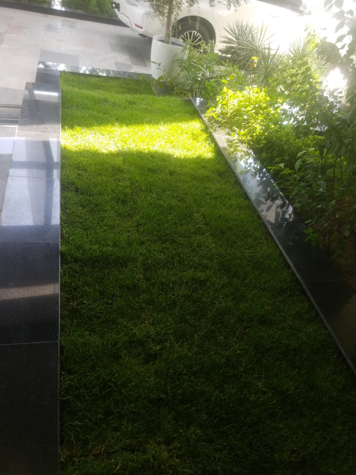Soft Landscape Works project photo