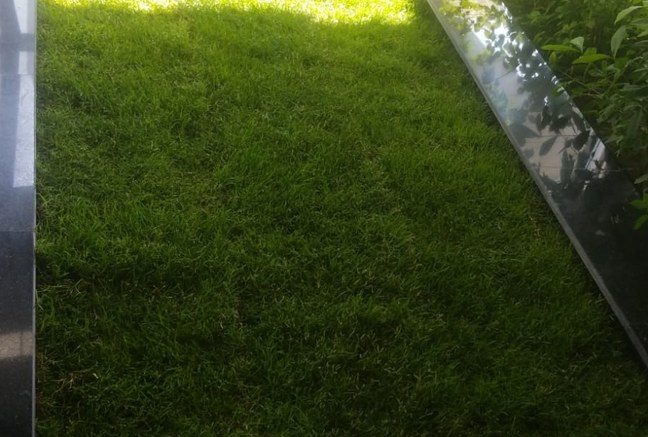 Soft Landscape Works Cover